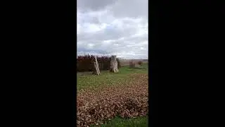 Второй шанс на осеннюю уборку: #онтарио #жизньнапенсии #усадьба #шортвидео
