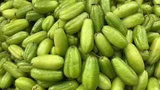 Bilimbi Patio ตะลิงปลิงหน้าบ้าน Taling Pling