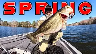 Fishing A Cypress Swamp With Unexpected Baits!