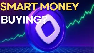 Monad Price Stuck in a Trap &mdash; Smart Money Quietly Loading? - Monad Price Prediction.
