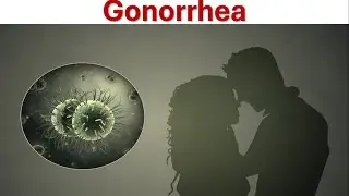 Gonorrhea: A Sexually Transmitted Disease | STD | Symptoms, Treatment & Prevention of Gonorrhea