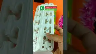 Small easy to carry wonder Hanger
