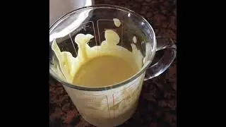 DIY Mayonnaise