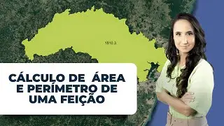 Como calcular a área e o perímetro no QGIS?