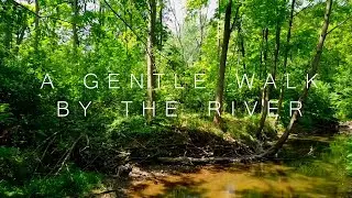 A Gentle Walk by the River | Beautiful Ambient Piano Music for Contemplation