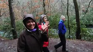 5 waterfalls and a polar plunge (Mingo Falls, Indian Creek, Tom Branch Falls,  Soco falls)