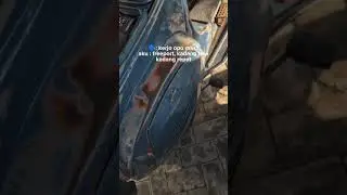 vespa PTS original paint mulus #vespa #shortsvideo #shortsfeed #shorts #smallframe