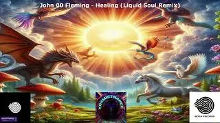 John 00 Fleming - Healing (Liquid Soul Remix) - Iboga Records - 2016