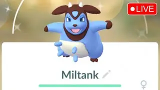 Live Go Battle Day : Miltank Part 2| Pok&eacute;mon GO