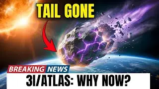 The Mystery of 3I/ATLAS: Why Did It Lose Its Tail? A Solar Enigma