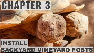Chapter 3 - Part 1 - Backyard Vineyard Setting Wood End and Support Posts