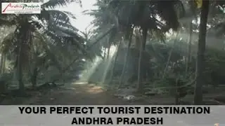 your perfect tourist destination - Andhra Pradesh