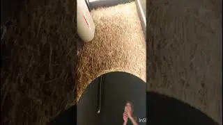 Самые невероятные необычные дизайны ресторанов