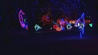 Zoo Lights