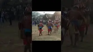 #Pangsaupassinternationeifestival#2025#Nampong#Changlang#Arunachal Pradesh