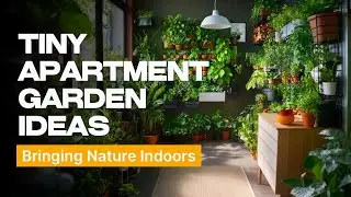 Tiny Apartment Garden Ideas - Bringing Nature Indoors with Houseplants #apartment #garden #plants