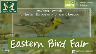 Albena will host the first ever Eastern Bird Fair