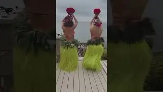 Hawaiian 🌺 girls #dance #hawaii #dancevideo #show