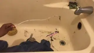 Clogged Tub Drain Due to plastic snake study