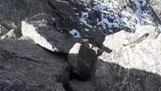 Ridge scramble near Arapaho Peaks.