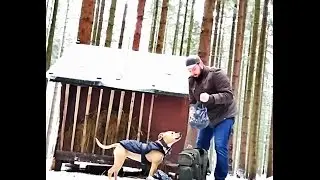 Proch&aacute;zka lesem , krmen&iacute; a točen&iacute; zvěře