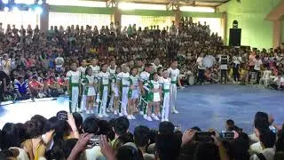 SOFTNET CHEERINGSQUAD 2019