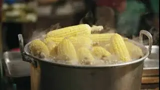 Cooking Corn Cobs In A Boiling Water (No copyright footage)