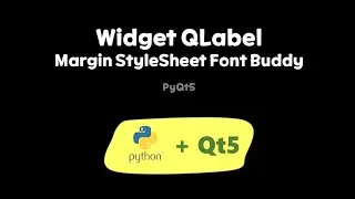 Widget QLabel Margin StyleSheet Font Buddy