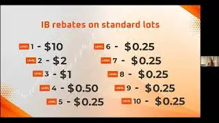 Avora Markets Overview by CEO Mrs Magda 15. 12. 2025