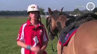 Bokt 