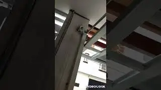 que lleva port&oacute;n levadizo