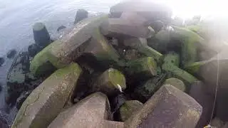 Fishing for Shad in New Jersey#fishing #spinning #fisherman.