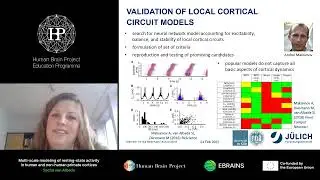 Sacha van Albada - Multi-scale modeling of resting-stata activity in human and non-human (...)