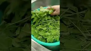 #shortvideo #shortviral #fresh #arugula #leaves #vegetables  #washing #shorts #asmr