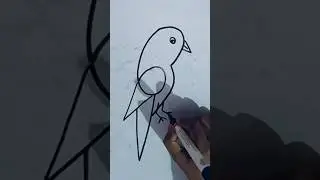 6 = Bird drawing #shorts