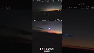 Late evening chasing - Mobula8 & FPV Wing #FlyTribe #FPV #FPVwing #Mobula8 #CrashTestHobby