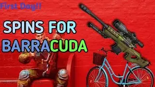 Spins for BARRACUDA || First Day || Trejo Event || Guns of Boom ||