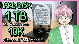 HARD DISK TAPI CEPAT? Coba HDD 10K RPM Server WD Velociraptor - Solusi SSD Mahal? [vTuber Indonesia]