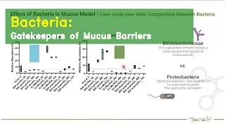 PermeabilitySeries: Bacteria &ndash; Gatekeepers of Mucus Barriers