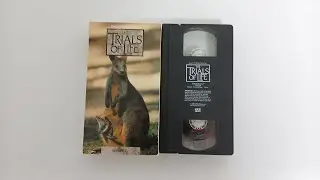 Opening and Closing To The Trials Of Life Growing Up 1991 VHS 60fps