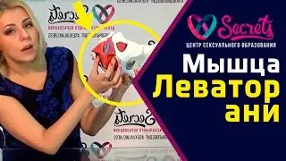 ♂♀ Леватор ани | Тренировка мышц ануса | Мышца заднего прохода | Levator ani [Secrets Center]
