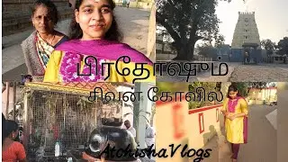பிரதோஷம்🙏|திருநின்றவூர் சிவன் கோவில்❤️|#pradhosham  #thiruninravur  #youtube #murudeshwartemple #yt 