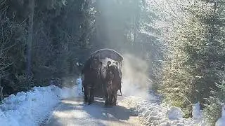 Kulig w Beskidach. Istebna styczeń 2026