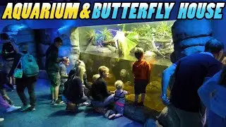 AQUARIUM AND BUTTERFLY HOUSE - Whipsnade Zoo - England (4k)