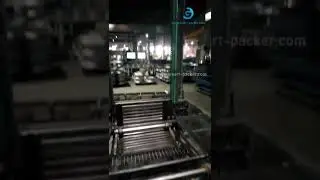 Customized high level stainless steel roller conveying lifting feeding conveyor