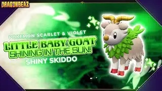 Little Baby Goat Shining in the Sun! | Shiny Skiddo Reaction in Pokemon Scarlet & Violet