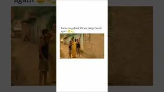 Birwa Arijit Singh I Nishaanchi I Song Status I #shorts #shortsfeed #birwa #trending #viral