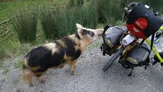 NZ Cycling Trip Ep1! Just Arrived in NZ! Let's explore 6th continent!