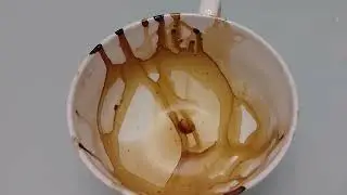 Sagitario CONTIGO SOLO PUEDE DIOS BA ATRIUNFAL lectura del CAFE lectura De LATAZA