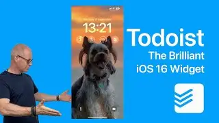 Todoist Just Made Collecting So Much Faster!